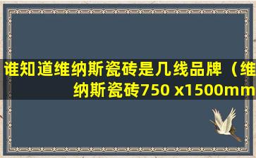 谁知道维纳斯瓷砖是几线品牌（维纳斯瓷砖750 x1500mm新款）